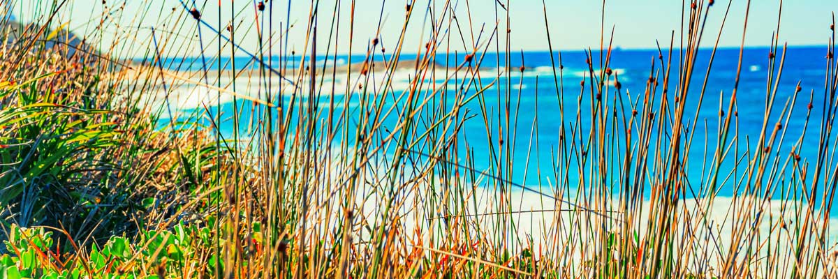 Exposition 2025 Rétrospective 20 ans Cap Sittelle